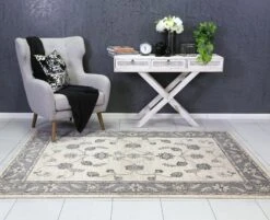 Aarya Border Grey Cream Rug