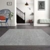 Europa Status Grey Rug -Sydney Rugs Online Europa1000GreyLounge