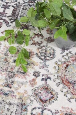 Wonders Boarder Cream Rug -Sydney Rugs Online SANT05 6